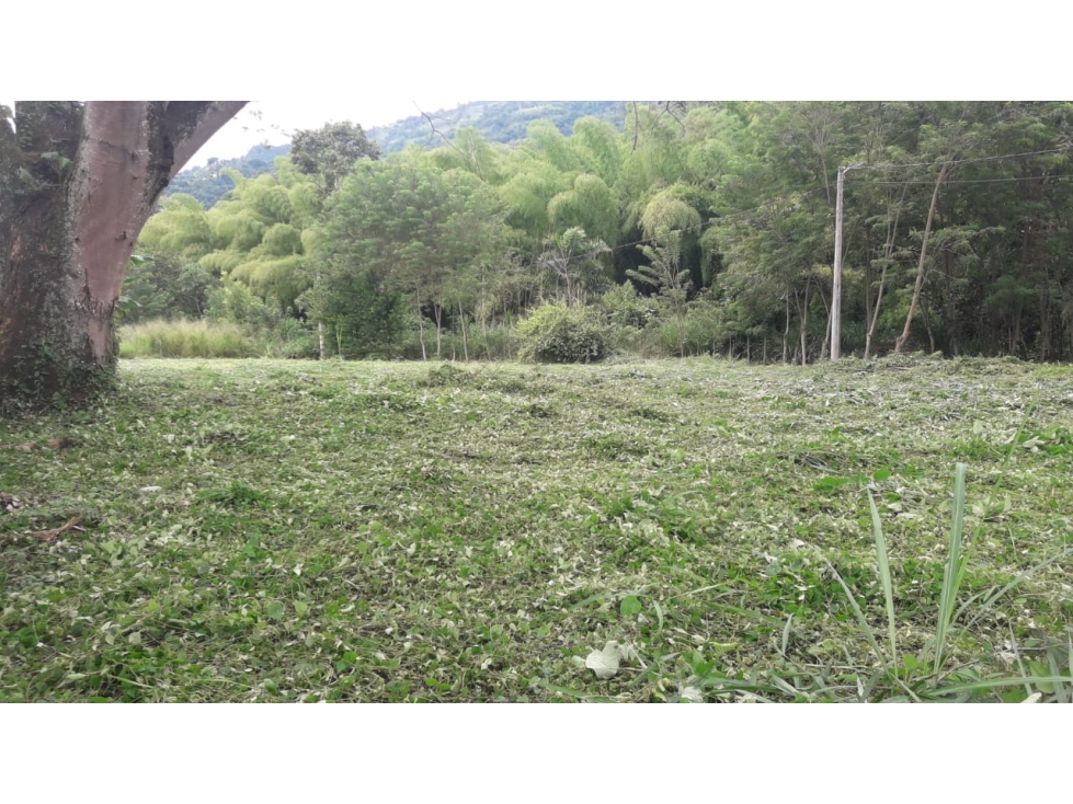 Se Vende Lote Vereda El Rio, Neira - 4