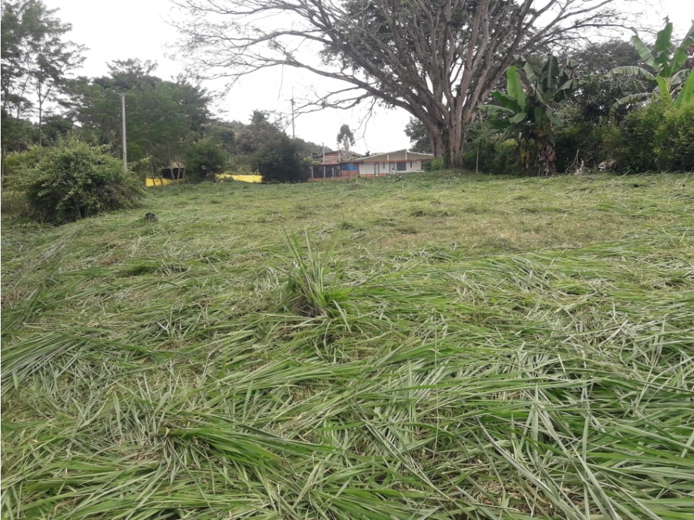 Se Vende Lote Vereda El Rio, Neira - 5