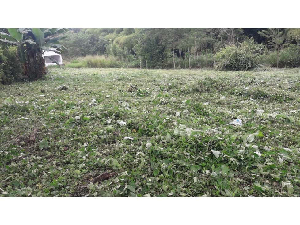 Se Vende Lote Vereda El Rio, Neira - 6