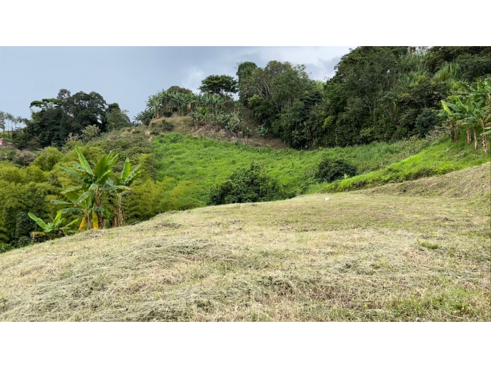 Se Vende Lote Manizales, el agrado