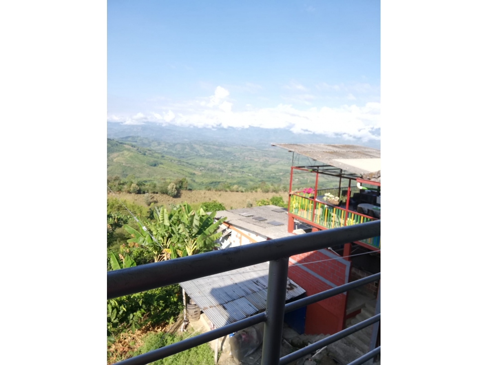 Se Vende Finca Vereda Alto Lisboa, Manizales — foto 3