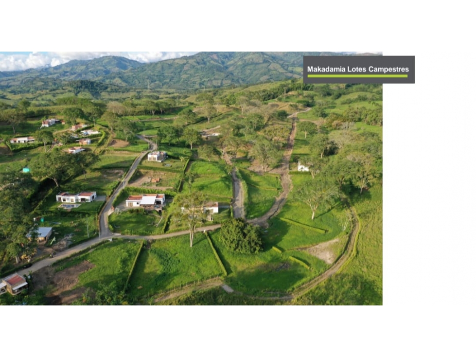 Se Vende Lote Sector Km 41, Neira - 2