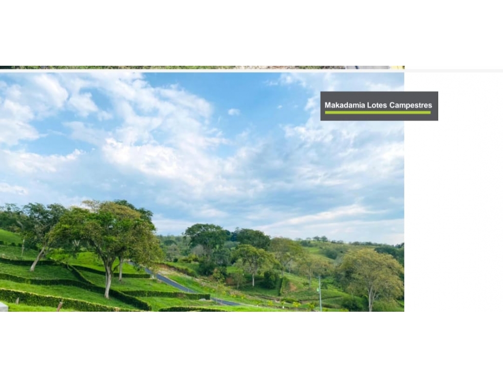 Se Vende Lote Sector Km 41, Neira - 4