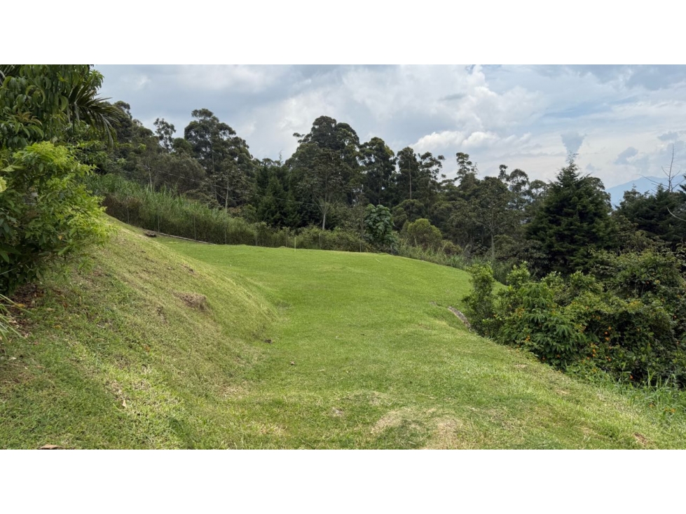 Lote en venta con vista a Medellín, Los Balsos - El Poblado — foto 3