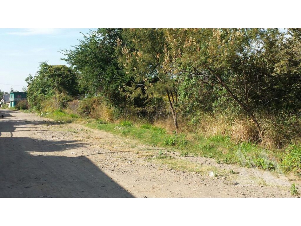 Venta Terreno Urbano en Tetelcingo Cuautla Morelos - 3