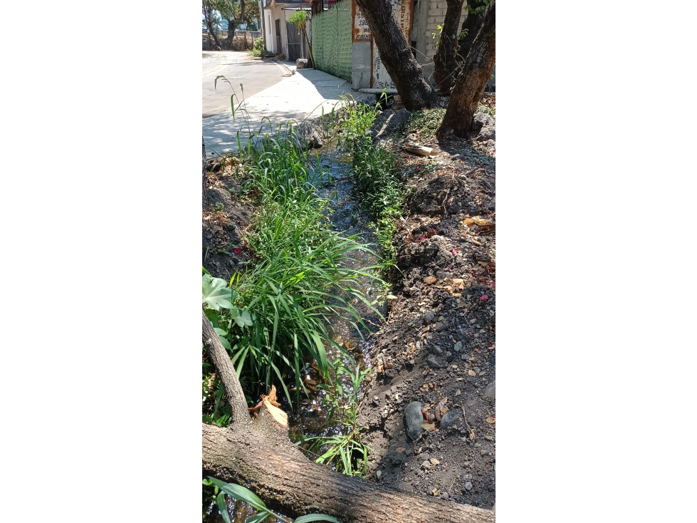 Terreno - Temixco Centro - 3