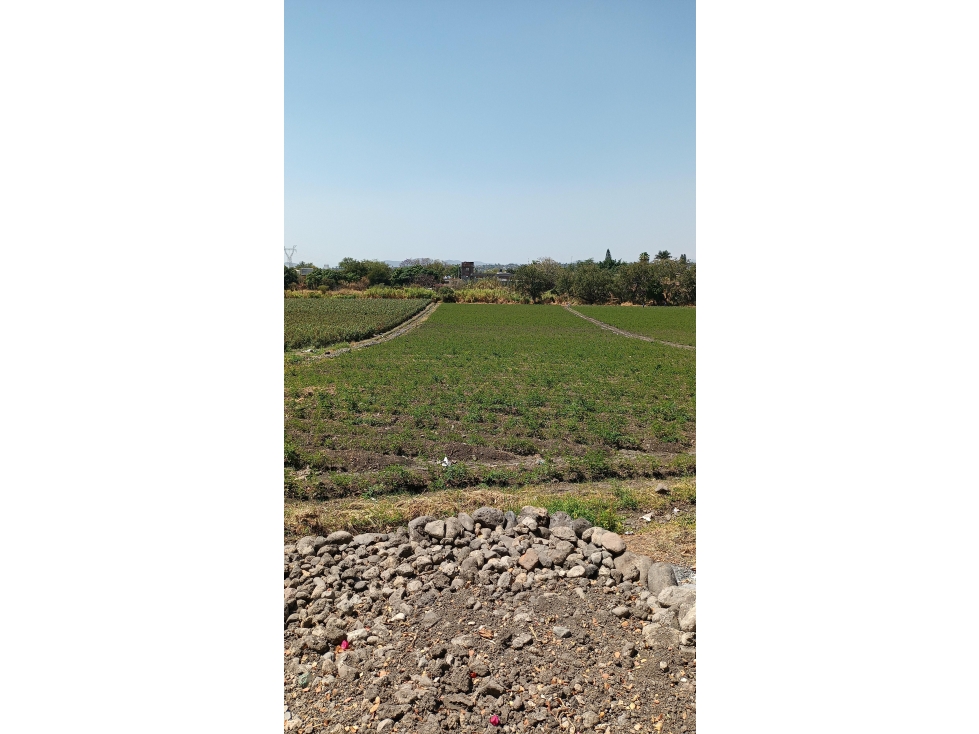 Terreno - Temixco Centro - 2