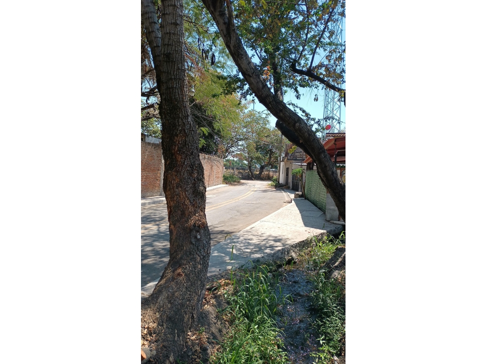 Terreno - Temixco Centro - 4