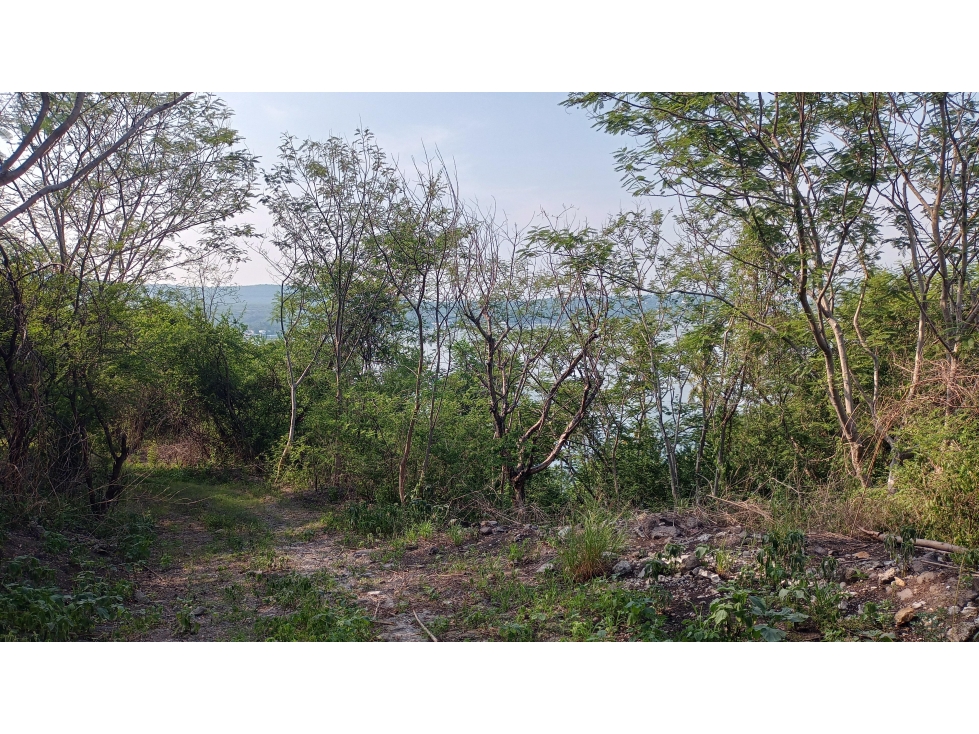 Venta Terreno lago de Tequesquitengo con salida al lago Morelos - 2