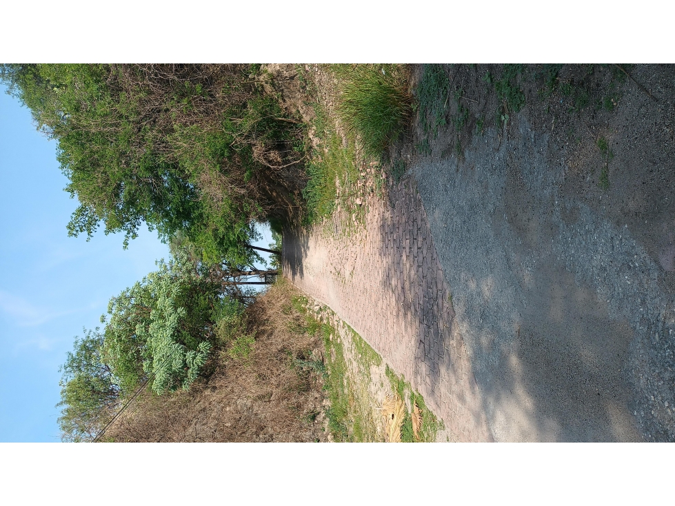 Venta Terreno lago de Tequesquitengo con salida al lago Morelos - 4