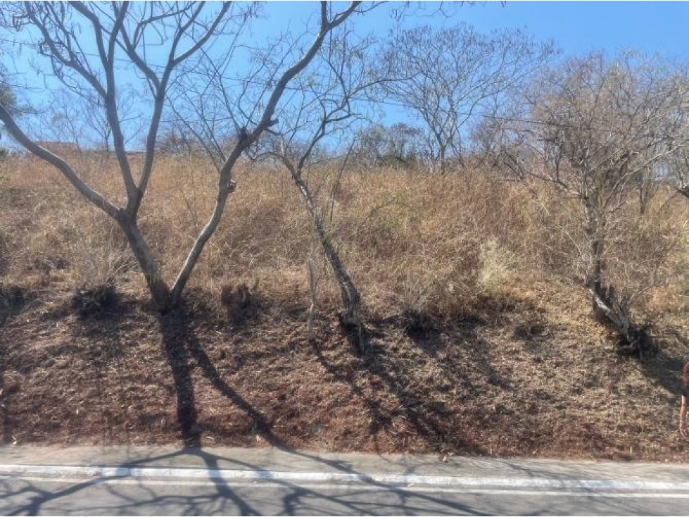 Terreno Venta Ascendente, Fracc Santa Fe, Xochitepec Mor - 2