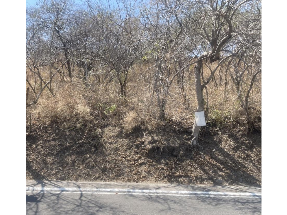 Terreno Venta Ascendente, Fracc Santa Fe, Xochitepec Mor - 4