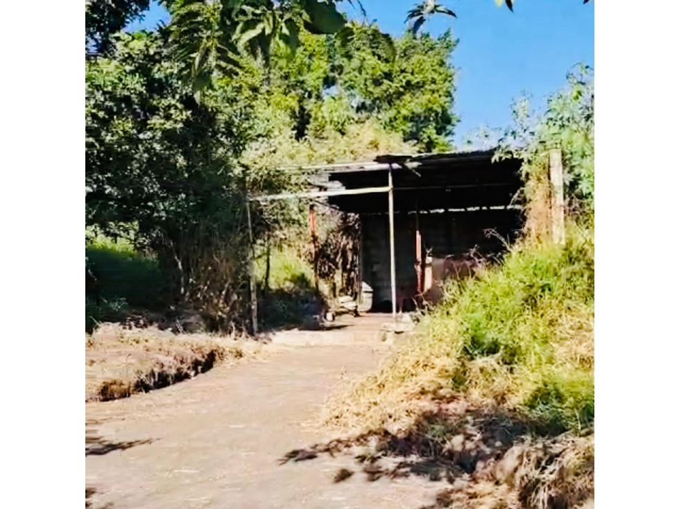 Venta Terreno en Centro de Jiutepec, Morelos - 2