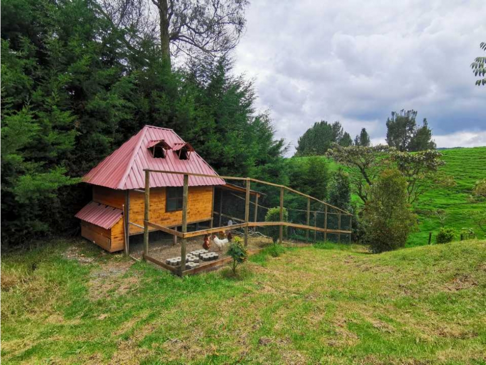 Hermosa Finca en San Pedro de los Milagros — foto 2
