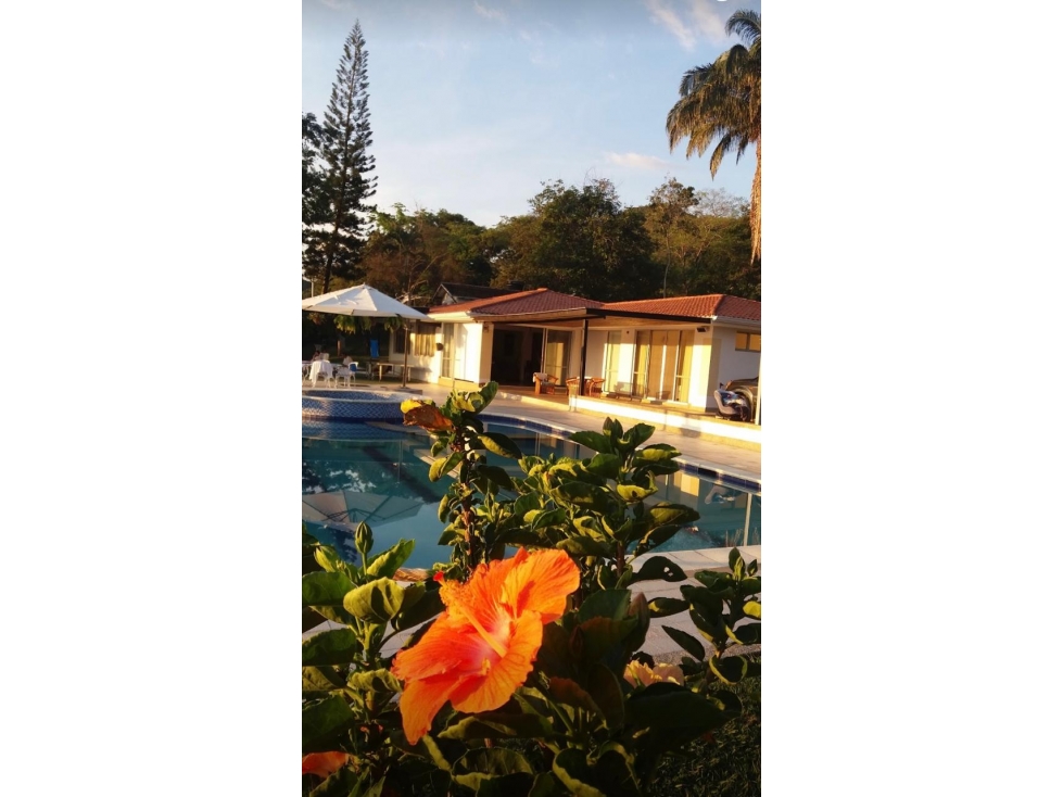 VENDO HERMOSA FINCA ANAPOIMA VEREDA LAS MERCEDES SM 8253710 - 1