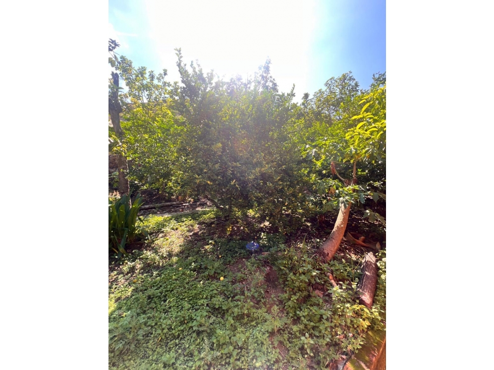 CASA LOTE EN VENTA MULALO YUMBO SM 9317406 - 2