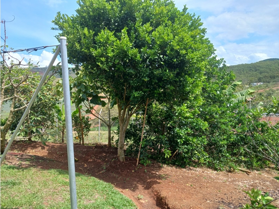 Se vende casa campestre en Pavas La Cumbre (JPG) CW:9307639 - 4