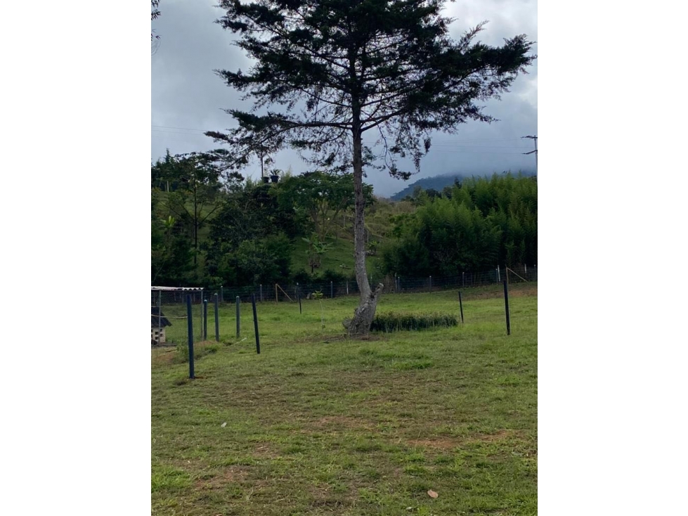 VENTA DE LOTE VÍA AL CARMEN KM30 DAGUA - TG W9319591 — foto 3