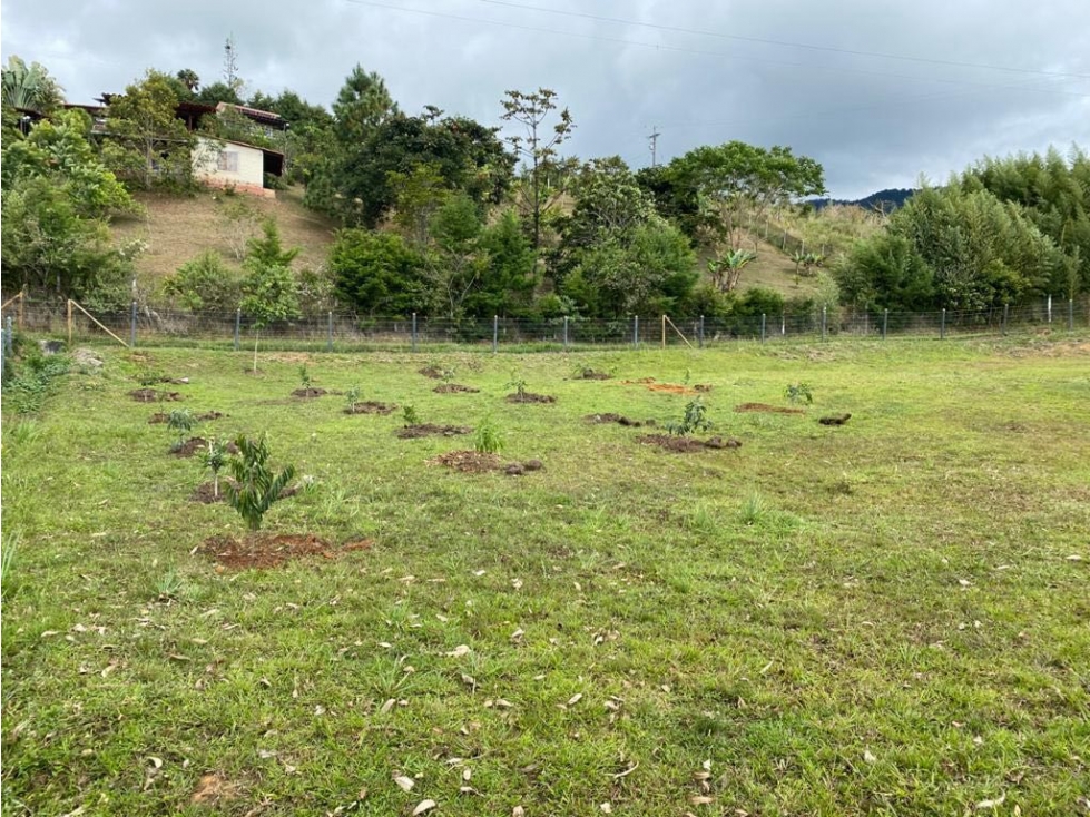 VENTA DE LOTE VÍA AL CARMEN KM30 DAGUA - TG W9319591 — foto 5