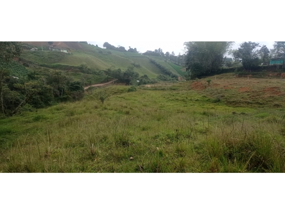Hermoso Lote en Venta Sector Vereda el Morillo - Santuario