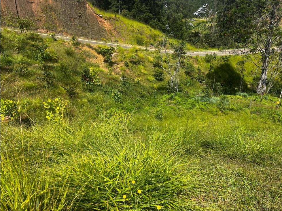 Lote En venta, Vereda La Clara Guarne — foto 3