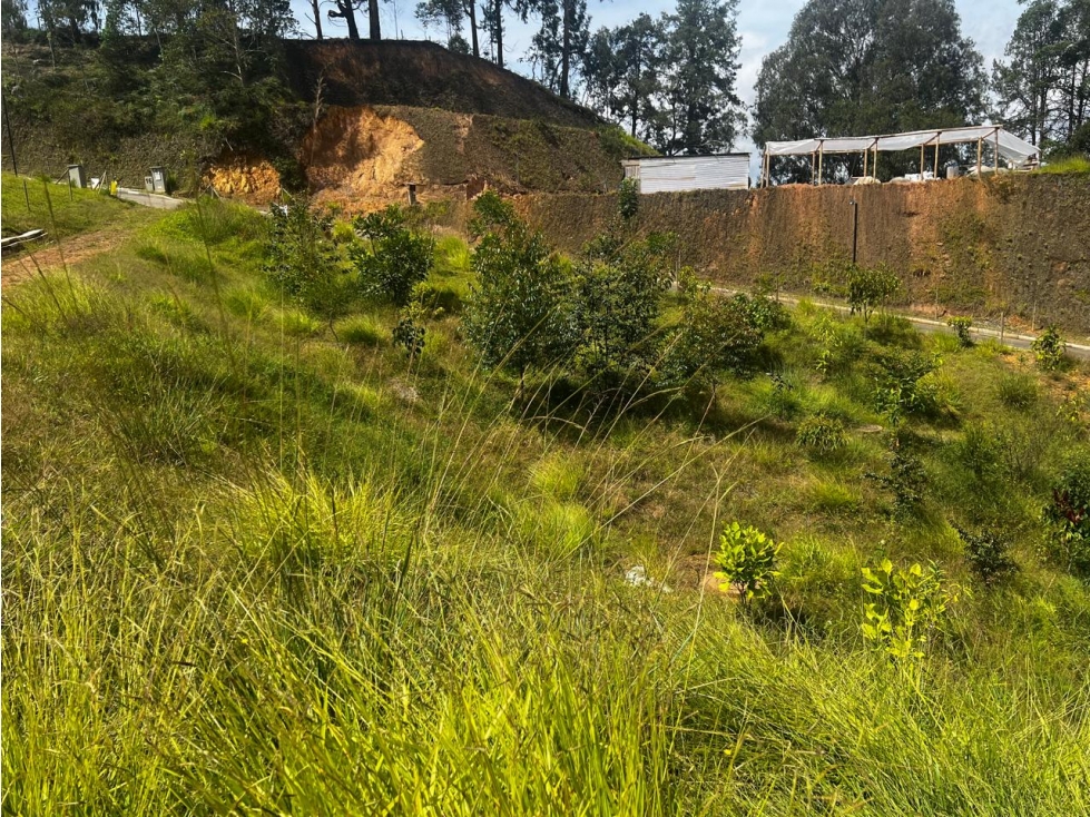 Lote En venta, Vereda La Clara Guarne — foto 4