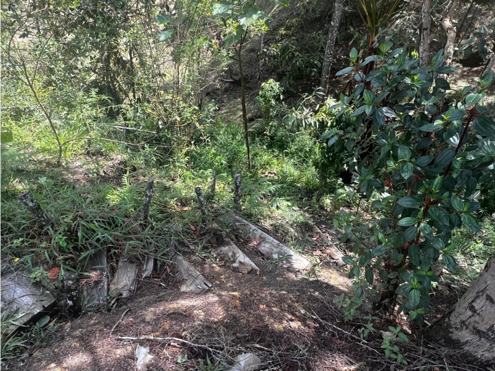 Lote En venta, Vereda La Clara Guarne — foto 5