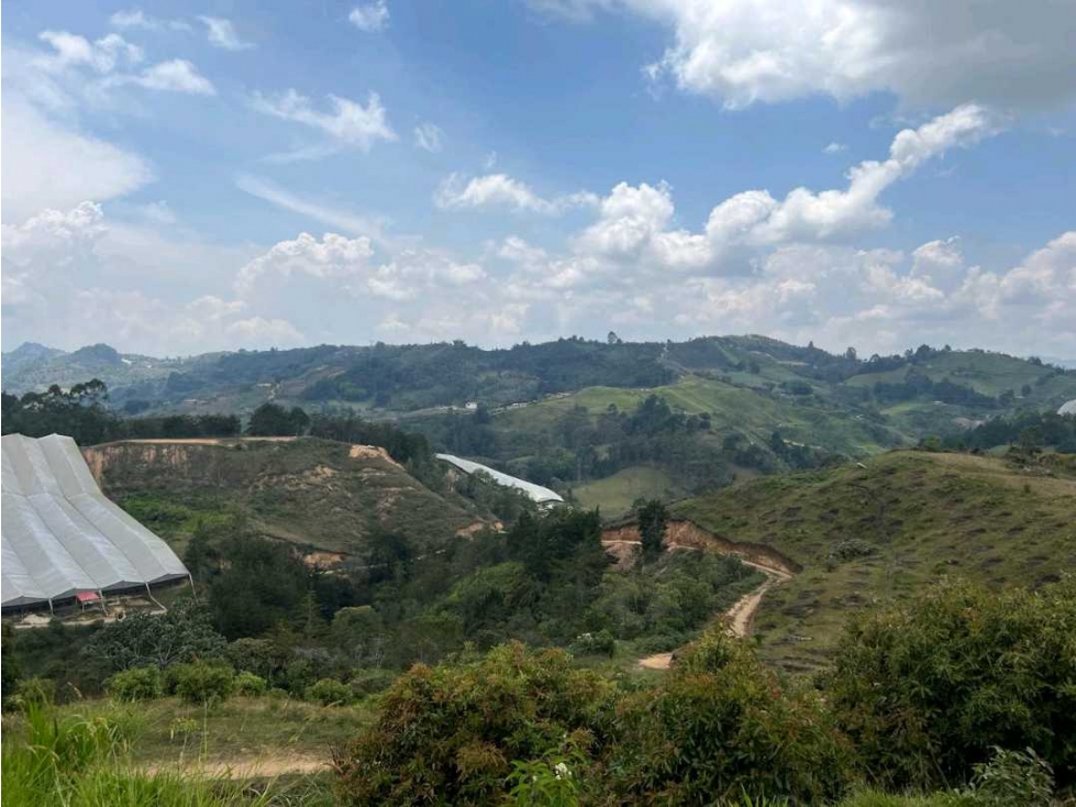 Finca Agricola San Vicente — foto 2