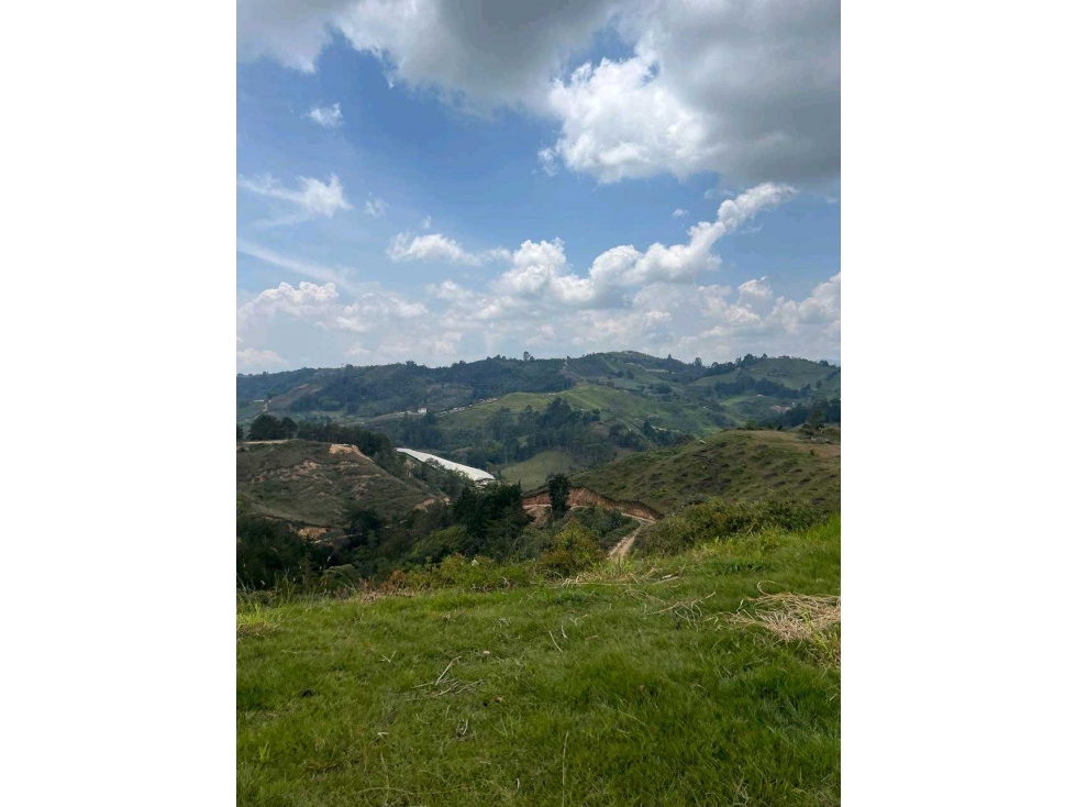 Finca Agricola San Vicente — foto 3