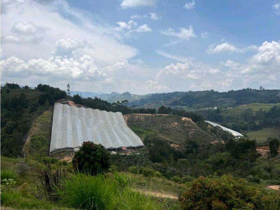 Finca Agricola San Vicente — foto 4