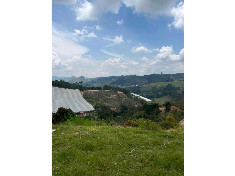 Finca Agricola San Vicente — foto 5