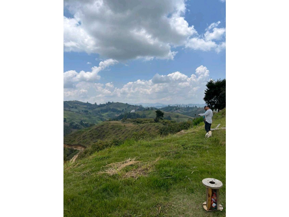Finca Agricola San Vicente — foto 6