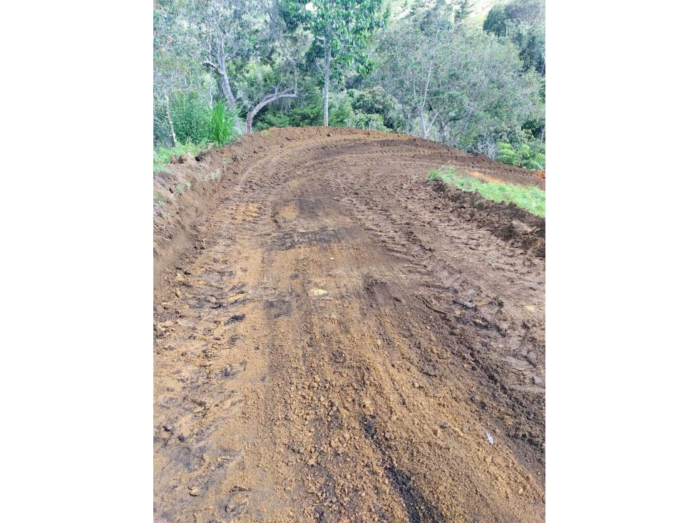 Se vende lote guarne