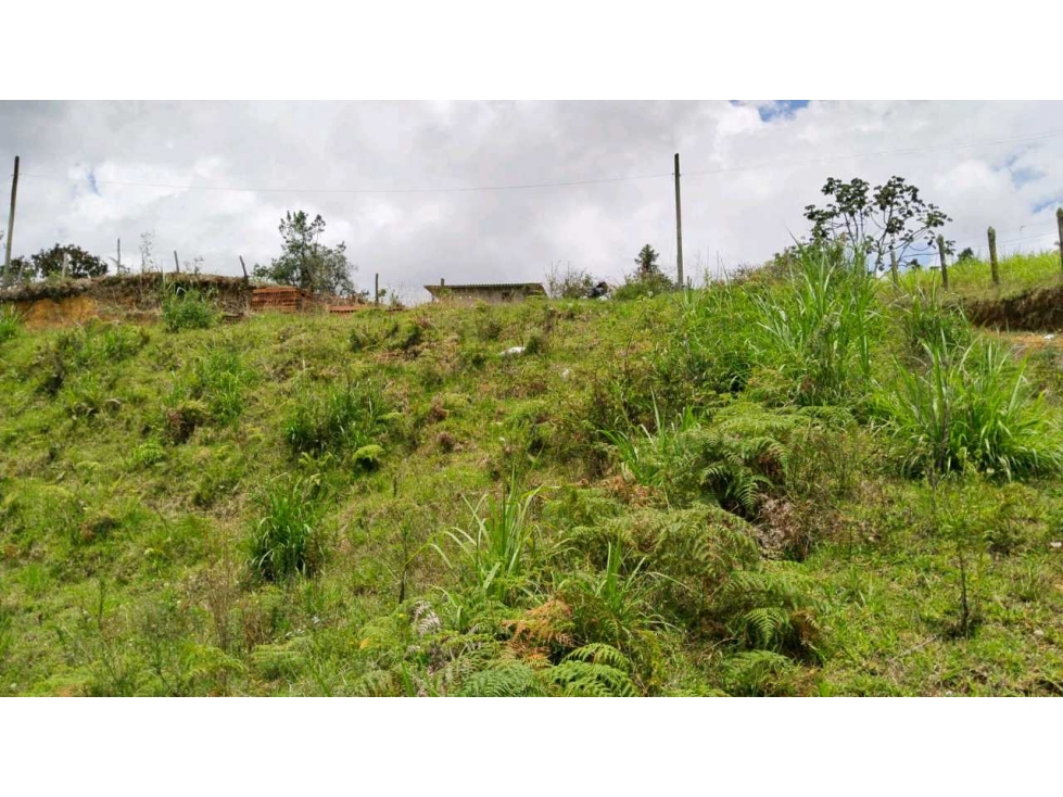 Se vende lote guarne — foto 2