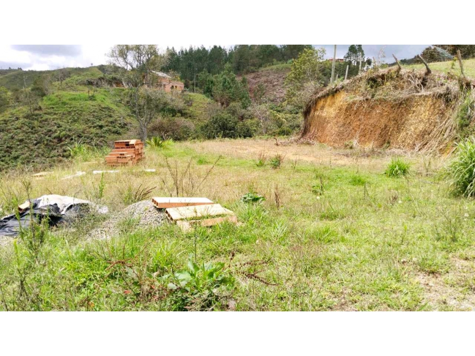 Se vende lote guarne — foto 3