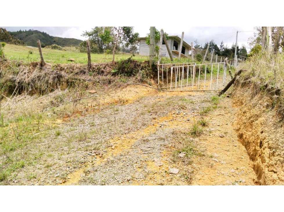 Se vende lote guarne — foto 4