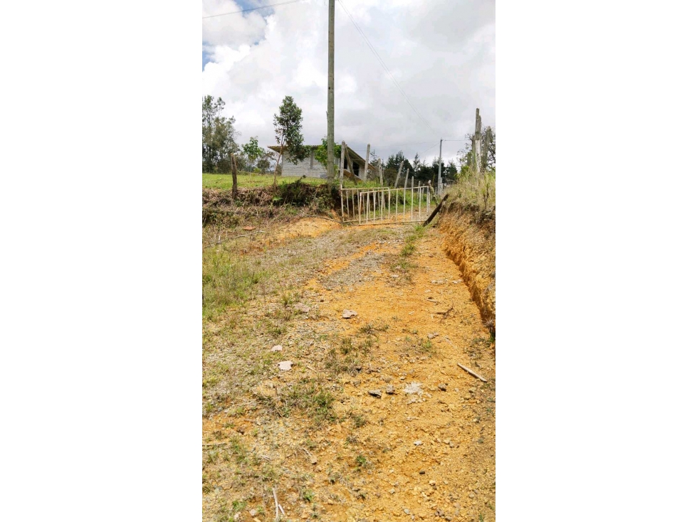 Se vende lote guarne — foto 5