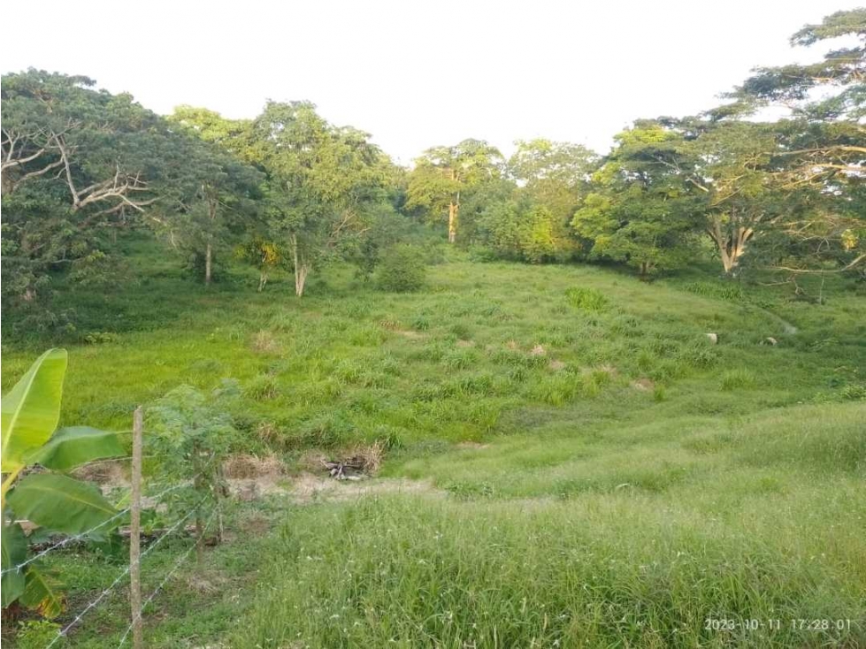 SE VENDE FINCA NECOCLI - 2