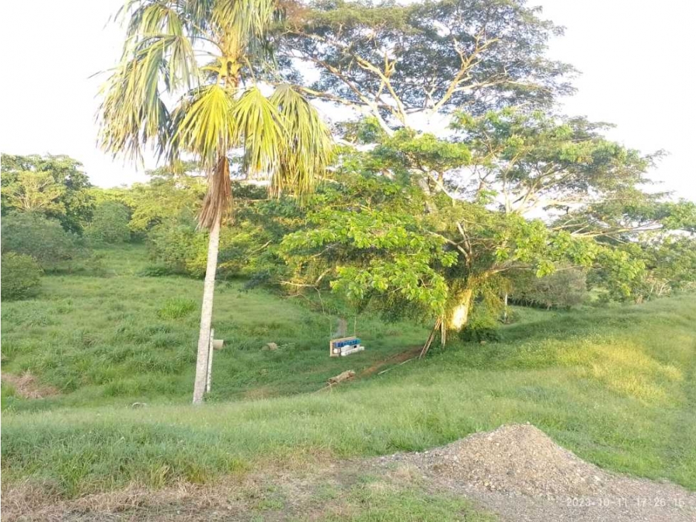SE VENDE FINCA NECOCLI - 3