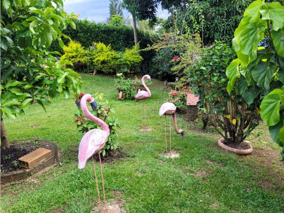 SE VENDE O PERMUTA FINCA EN SAN JERONIMO — foto 6