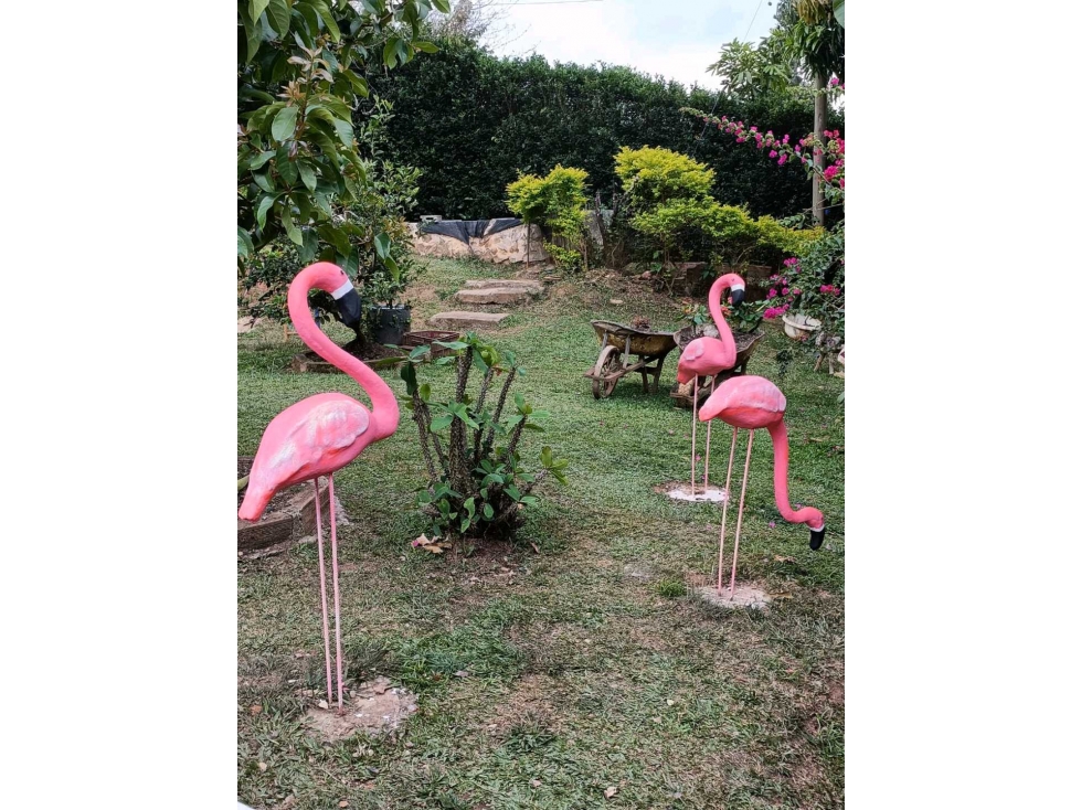 SE VENDE O PERMUTA FINCA EN SAN JERONIMO — foto 4