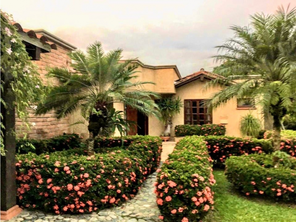 FINCA EN VENTA EN LA PINTADA - 2