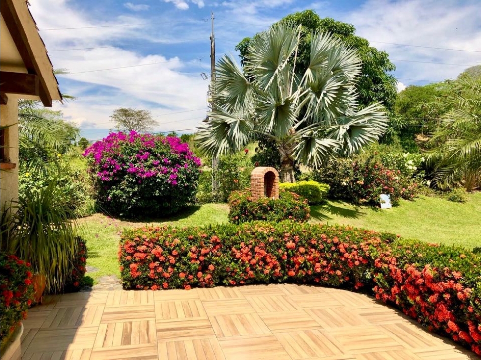 FINCA EN VENTA EN LA PINTADA - 4