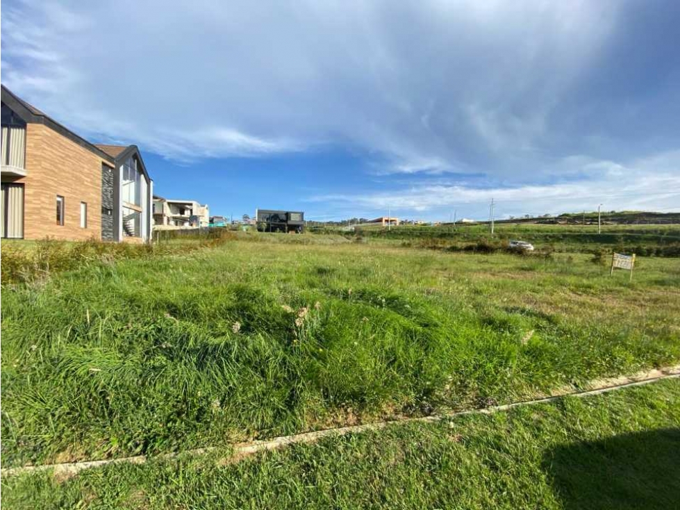 Espectacular lote ubicado en el alto de las Palmas — foto 4