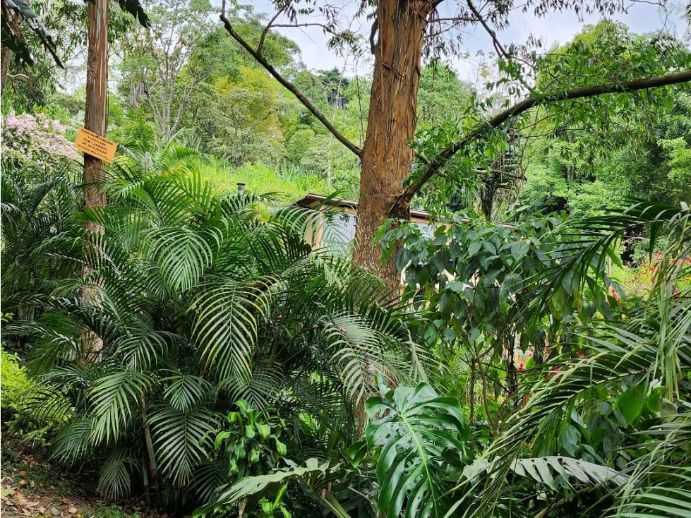 OPORTUNIDAD CASA CAMPESTRE INDEPENDIENTE, EXCLUSIVO SECTOR POBLADO — foto 4