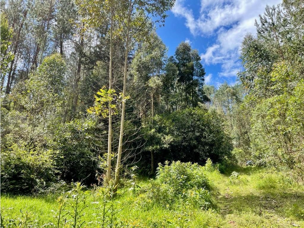 HERMOSO LOTE EN VENTA EL RETIRO VÍA LA CEJA EL PORTENTO — foto 3