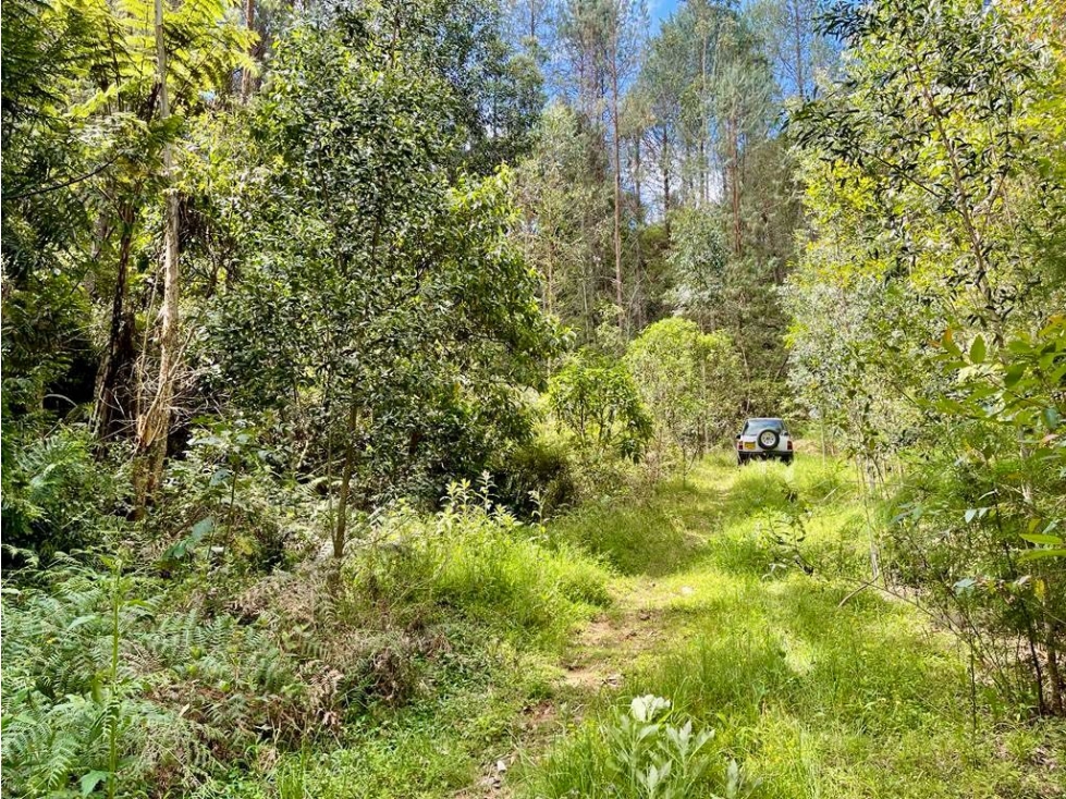 HERMOSO LOTE EN VENTA EL RETIRO VÍA LA CEJA EL PORTENTO — foto 5