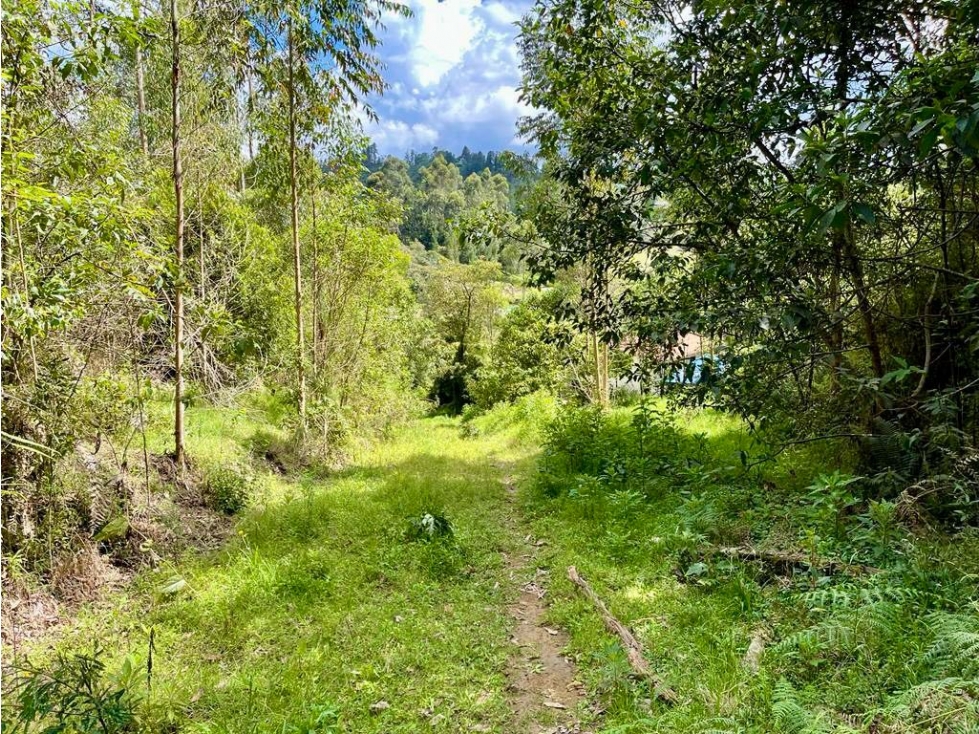 HERMOSO LOTE EN VENTA EL RETIRO VÍA LA CEJA EL PORTENTO — foto 4