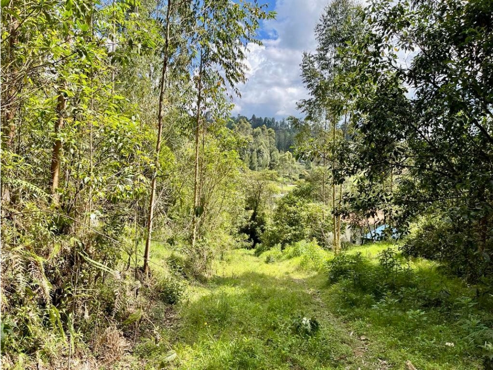 HERMOSO LOTE EN VENTA EL RETIRO VÍA LA CEJA EL PORTENTO — foto 6