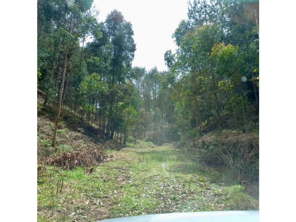 HERMOSO LOTE EN VENTA EL RETIRO VÍA LA CEJA EL PORTENTO — foto 2